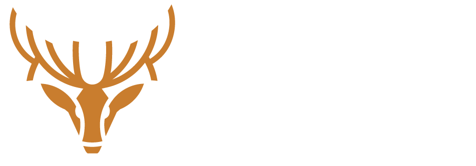 Wapiti - Sales-focused website design and development.